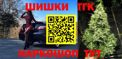 гашик Тулун