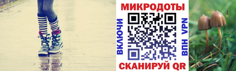 KRAKEN сайт  Новокубанск  Галлюциногенные грибы мухоморы 