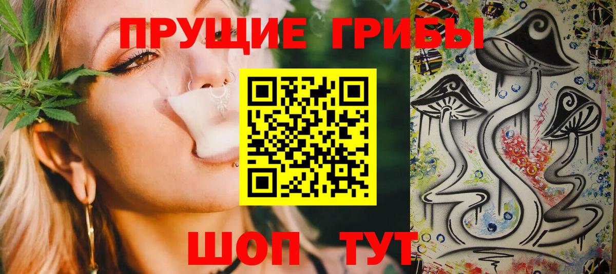 Псилоцибиновые грибы ЛСД Новокубанск