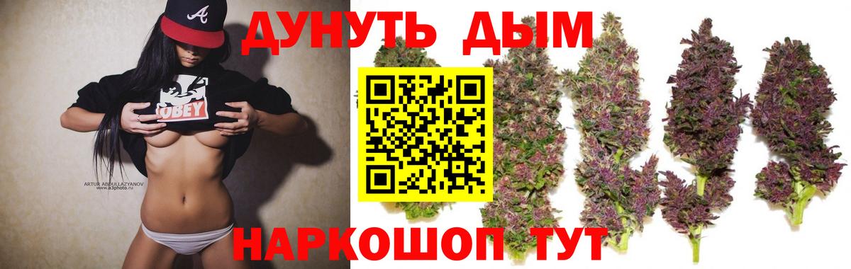 Бошки марихуана OG Kush  Вход с VPN  Бошки марихуана план  Новокубанск 